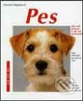 Kniha: Pes (Monika Weglerová). Vašut Kniha: Pes (Monika Weglerová). Vašut