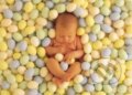Dieťa vo vajíčkach - Anne Geddes