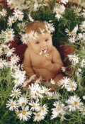 Puzzle: Margaréta (Anne Geddes). Schmidt Puzzle: Margaréta (Anne Geddes). Schmidt