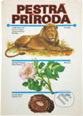 Kniha: Pestrá príroda (Jaroslav Bauer, Luděk J. Dobroruka a Zdenka Podhajská). Mladé letá, 1984 Kniha: Pestrá príroda (Jaroslav Bauer, Luděk J. Dobroruka a Zdenka Podhajská). Mladé letá, 1984