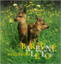 Kniha: Barevné léto (Jaroslav Holeček). , 1978 Kniha: Barevné léto (Jaroslav Holeček). , 1978