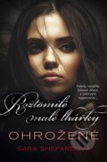 Kniha: Roztomilé malé lhářky 15: Ohrožené (Sara Shepard). BB/art, 2015 Kniha: Roztomilé malé lhářky 15: Ohrožené (Sara Shepard). BB/art, 2015