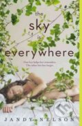 Kniha: The Sky Is Everywhere, 2015 Kniha: The Sky Is Everywhere, 2015