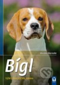 Kniha: Bígl (Wiebke Warneke). Vašut, 2015 Kniha: Bígl (Wiebke Warneke). Vašut, 2015