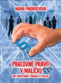 Kniha: Pracovné právo v malíčku (Mária Pindrochová). ALERT, 2015 Kniha: Pracovné právo v malíčku (Mária Pindrochová). ALERT, 2015