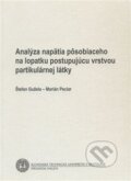 Kniha: Analýza napätia na lopatku postupujúcu vrstvou partikulárnej látky (Štefan Gužela). Strojnícka fakulta Technickej univerzity, 2006 Kniha: Analýza napätia na lopatku postupujúcu vrstvou partikulárnej látky (Štefan Gužela). Strojnícka fakulta Technickej univerzity, 2006