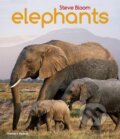 Kniha: Elephants (David Henry Wilson a Steve Bloom). Thames & Hudson, 2015 Kniha: Elephants (David Henry Wilson a Steve Bloom). Thames & Hudson, 2015