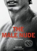Kniha: The Male Nude (David Leddick), 2015 Kniha: The Male Nude (David Leddick), 2015
