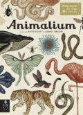 Kniha: Animalium (Jenny Broom). Templar, 2014 Kniha: Animalium (Jenny Broom). Templar, 2014
