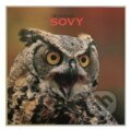 Kniha: Sovy (Jiří Bednář). Kniha: Sovy (Jiří Bednář).