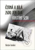 Kniha: Černá a bílá jsou jen dva odstíny šedi (Václav Gruber). ArtKrist, 2023 Kniha: Černá a bílá jsou jen dva odstíny šedi (Václav Gruber). ArtKrist, 2023