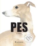 Kniha: Pes v umění, 2023 Kniha: Pes v umění, 2023