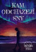 Kniha: Kam odcházejí sny (Petra Fido). Canc, 2023 Kniha: Kam odcházejí sny (Petra Fido). Canc, 2023