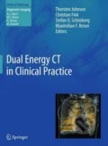 Dual Energy CT in Clinical Practice - Thorsten Johnson a kol., Springer Verlag, 2011