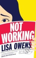 Not Working - Lisa Owens, Pan Macmillan, 2016