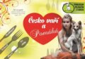Kniha: Česko vaří a pomáhá (Ivana Tremlová). Milan Žovin, 2016 Kniha: Česko vaří a pomáhá (Ivana Tremlová). Milan Žovin, 2016