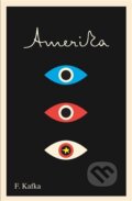 Kniha: Amerika, 2011 Kniha: Amerika, 2011