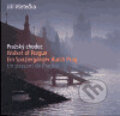 Kniha: Pražský chodec (Jiří Všetečka). ART D, 2005 Kniha: Pražský chodec (Jiří Všetečka). ART D, 2005