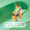 Kniha: Colors (Marie Vendittelli). Hachette Book Group US, 2016 Kniha: Colors (Marie Vendittelli). Hachette Book Group US, 2016