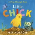 Kniha: Little Chick (Petr Horáček). Walker books, 2024 Kniha: Little Chick (Petr Horáček). Walker books, 2024