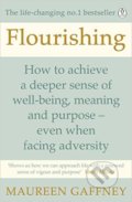 Flourishing - Maureen Gaffney, Penguin Books, 2016