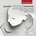 Eva Šušková: Secret Voice Electric - Eva Šušková, Hudobné albumy, 2016