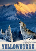 Puzzle: Yellowstonský vlk (Alipson Puzzle). Alipson Puzzle Puzzle: Yellowstonský vlk (Alipson Puzzle). Alipson Puzzle
