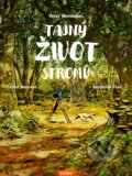 Kniha: Tajný život stromů (Peter Wohlleben). Nakladatelství KAZDA, 2024 Kniha: Tajný život stromů (Peter Wohlleben). Nakladatelství KAZDA, 2024