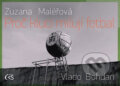 Kniha: Proč kluci milují fotbal (Zuzana Maléřová). Čas, 2011 Kniha: Proč kluci milují fotbal (Zuzana Maléřová). Čas, 2011
