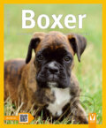 Kniha: Boxer (Herta F. Kraupa-Tuskany). Vašut, 2016 Kniha: Boxer (Herta F. Kraupa-Tuskany). Vašut, 2016