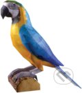 Společenská hra: Ara Araucana (GRANT CARDONE CEE). GRANT CARDONE CEE, 2024 Společenská hra: Ara Araucana (GRANT CARDONE CEE). GRANT CARDONE CEE, 2024