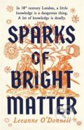 Kniha: Sparks of Bright Matter, 2024 Kniha: Sparks of Bright Matter, 2024