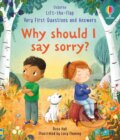 Kniha: Why should I say sorry? (Rose Hall). Usborne, 2024 Kniha: Why should I say sorry? (Rose Hall). Usborne, 2024