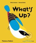 Kniha: What's Up? (Bernard Duisit a Olivia Cosneau). Thames & Hudson, 2016 Kniha: What's Up? (Bernard Duisit a Olivia Cosneau). Thames & Hudson, 2016