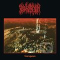 Hudební CD: Blood Incantation: Starspawn (Hudobné albumy). Hudobné albumy, 2024 Hudební CD: Blood Incantation: Starspawn (Hudobné albumy). Hudobné albumy, 2024