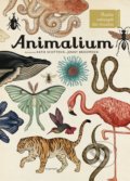 Animalium - Jenny Broom (ilustrátor), Katie Scott (ilustrátor), 2017