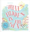 What&#039;s Hidden in the Sea? - Aina Bestard, Thames & Hudson, 2016