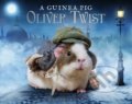 A Guinea Pig Oliver Twist - Alex Goodwin, Charles Dickens, Tess Newall, Bloomsbury, 2016