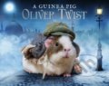 Kniha: A Guinea Pig Oliver Twist (Alex Goodwin, Charles Dickens a Tess Newall). Bloomsbury, 2016 Kniha: A Guinea Pig Oliver Twist (Alex Goodwin, Charles Dickens a Tess Newall). Bloomsbury, 2016