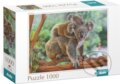 Koala s mládětem, Dodo, 2024