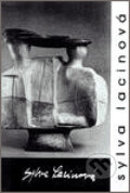 Kniha: Sylva Lacinová (Dům umění města Brna). Dům umění města Brna, 2007 Kniha: Sylva Lacinová (Dům umění města Brna). Dům umění města Brna, 2007