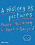 Kniha: A History of Pictures (David Hockney a Martin Gayford). Thames & Hudson, 2016 Kniha: A History of Pictures (David Hockney a Martin Gayford). Thames & Hudson, 2016
