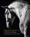 Kniha: Equine Beauty (Raphael Macek). Te Neues, 2016 Kniha: Equine Beauty (Raphael Macek). Te Neues, 2016