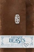 Fantastic Beasts and Where to Find Them: Newt Scamander, Insight, 2016
