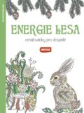 Energie lesa, INFOA, 2016