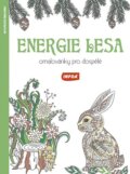 Kniha: Energie lesa (INFOA). INFOA, 2016 Kniha: Energie lesa (INFOA). INFOA, 2016