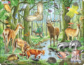 Puzzle: Európske lesy (FH17) Puzzle: Európske lesy (FH17)
