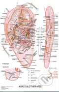 Mapa - Aurikuloterapie (Radomír Růžička). Poznání, 2011 Mapa - Aurikuloterapie (Radomír Růžička). Poznání, 2011