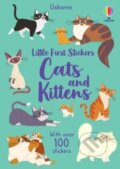 Kniha: Cats and Kittens (Caroline Young). Usborne, 2024 Kniha: Cats and Kittens (Caroline Young). Usborne, 2024