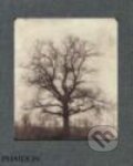 Kniha: William Henry Fox Talbot (Geoffrey Batchen). Phaidon, 2008 Kniha: William Henry Fox Talbot (Geoffrey Batchen). Phaidon, 2008